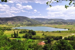 Borovicko-jezero-2