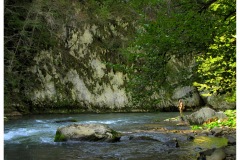 ceh1_resize